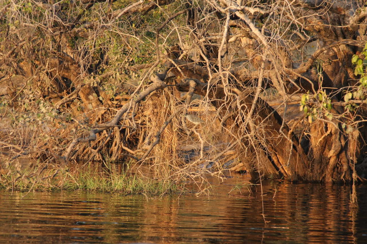 [28513] 2016_07_02_11_25_30_Africa_Canon_EOS_40D_IMG__00155.jpg