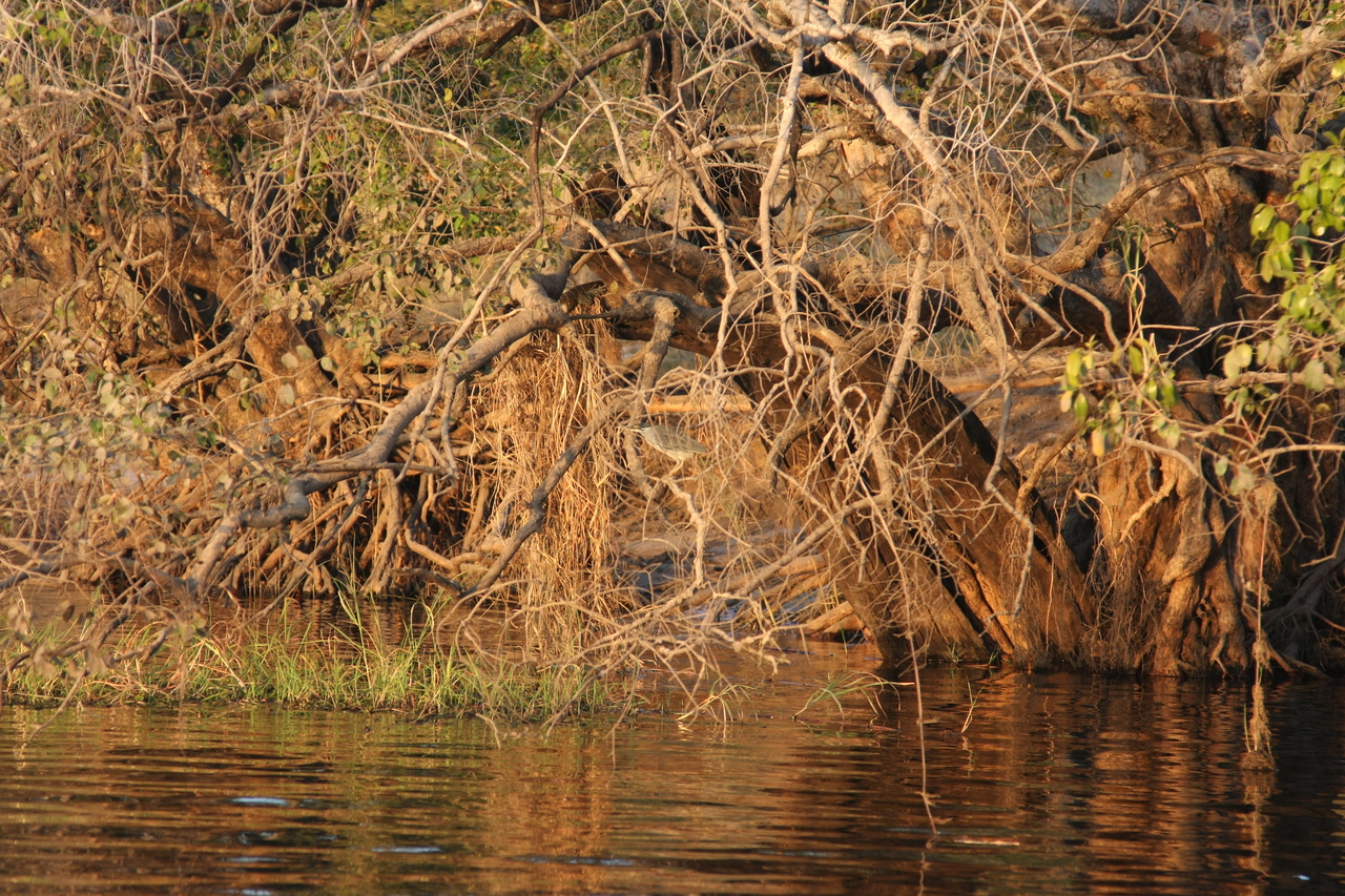 [28514] 2016_07_02_11_25_30_Africa_Canon_EOS_40D_IMG__04697.jpg
