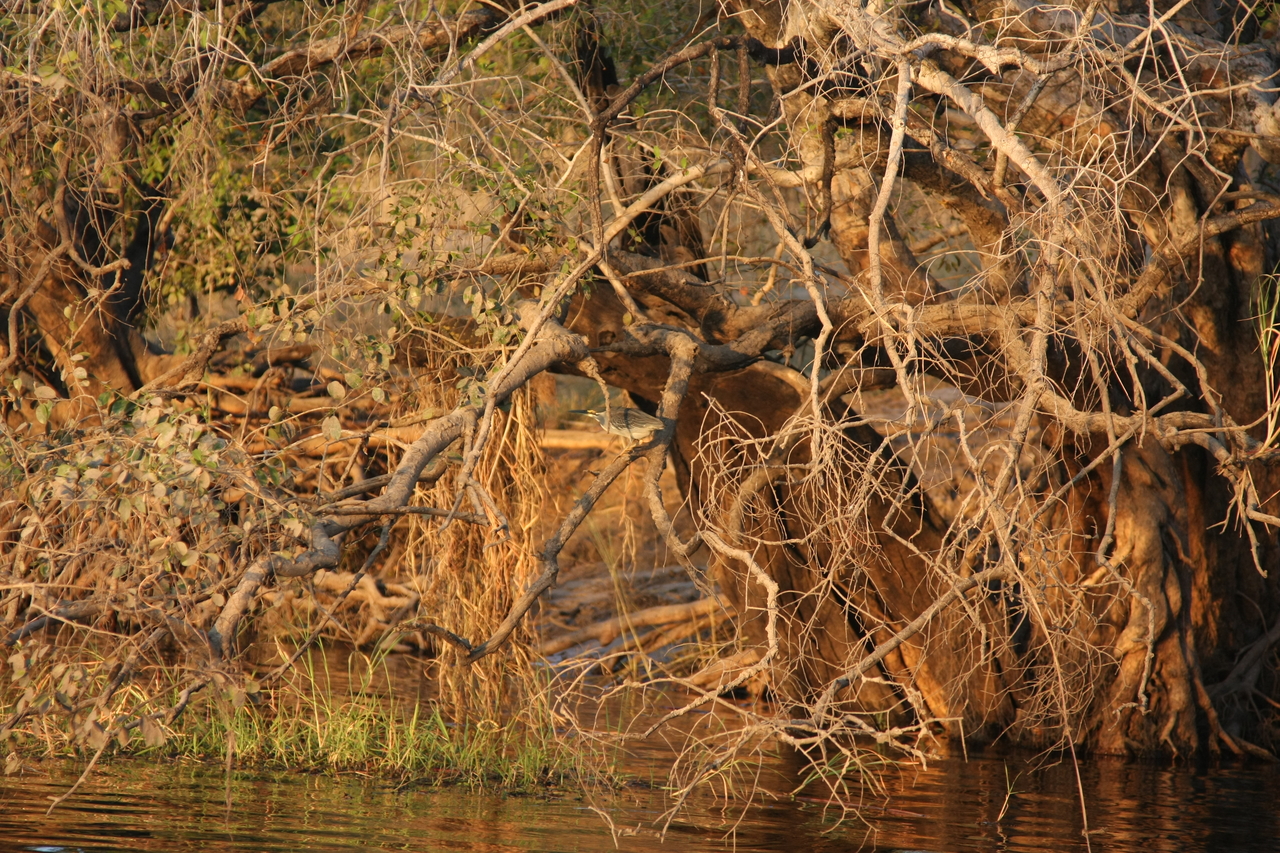 [28518] 2016_07_02_11_25_48_Africa_Canon_EOS_40D_IMG__00156.jpg