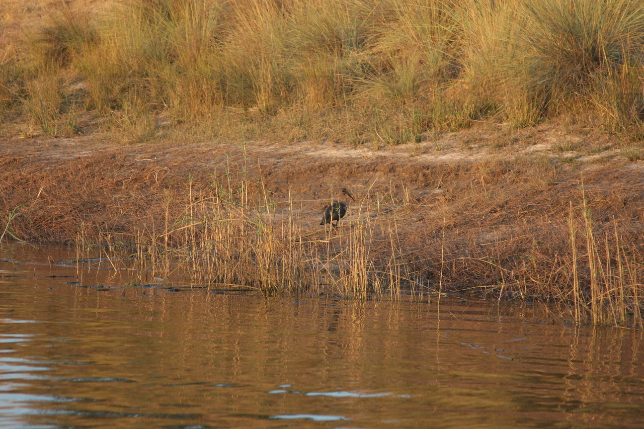 [28521] 2016_07_02_11_28_42_Africa_Canon_EOS_40D_IMG__00157.jpg