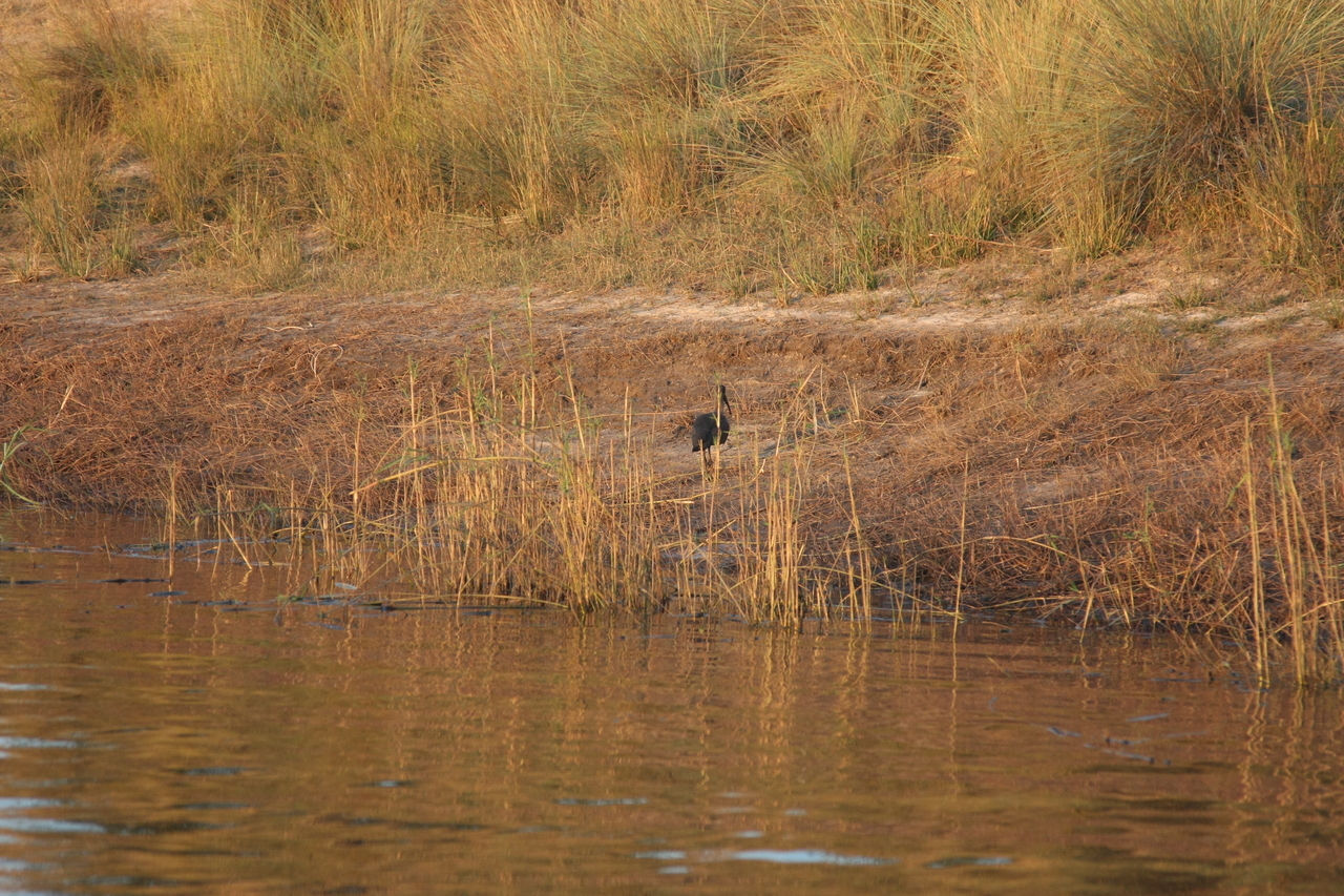 [28523] 2016_07_02_11_28_42_Africa_Canon_EOS_40D_IMG__00160.jpg