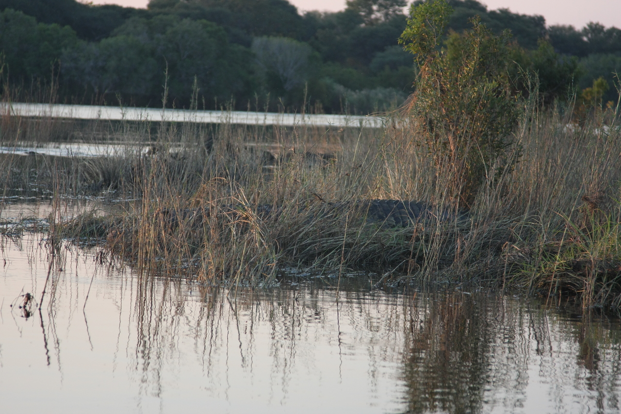 [28588] 2016_07_02_11_34_17_Africa_Canon_EOS_40D_IMG__00182.jpg