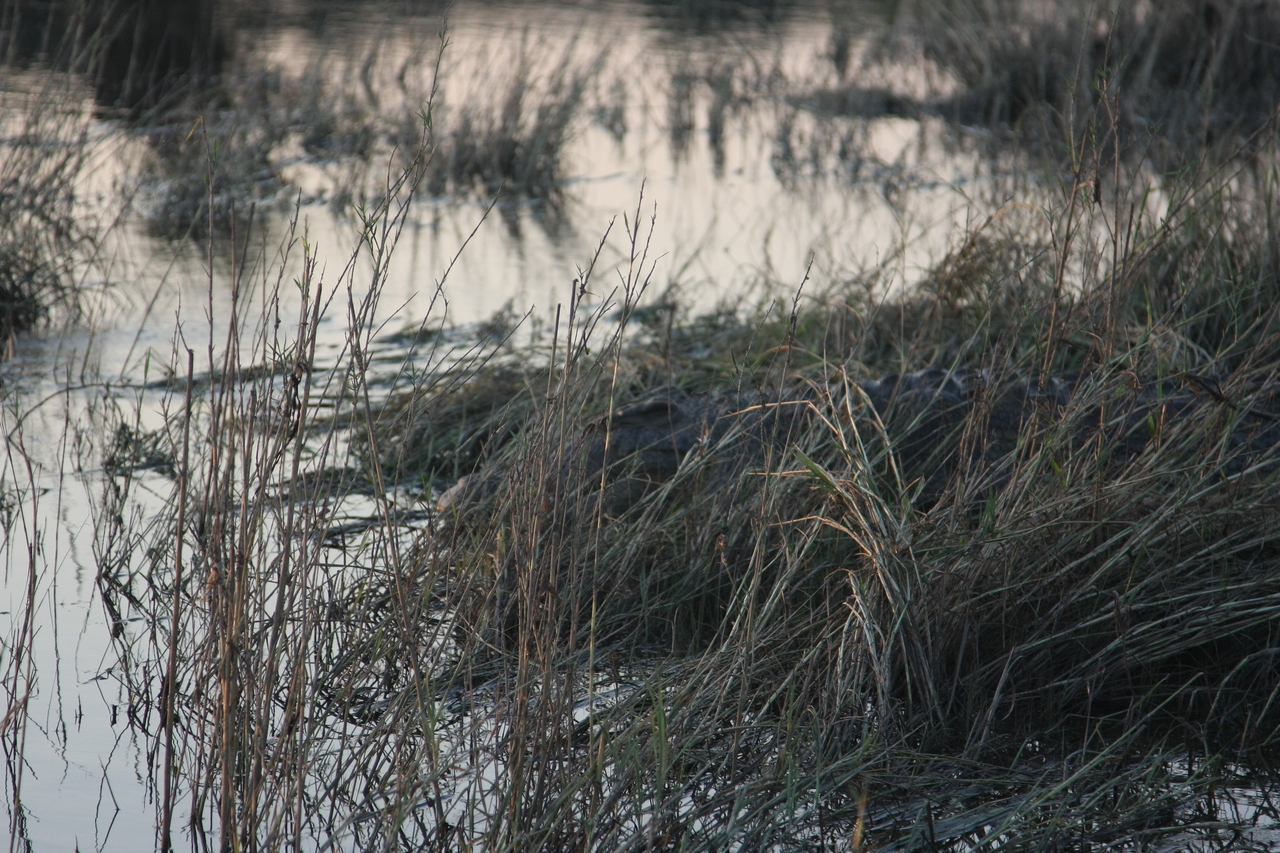 [28616] 2016_07_02_11_35_39_Africa_Canon_EOS_40D_IMG__12180.jpg