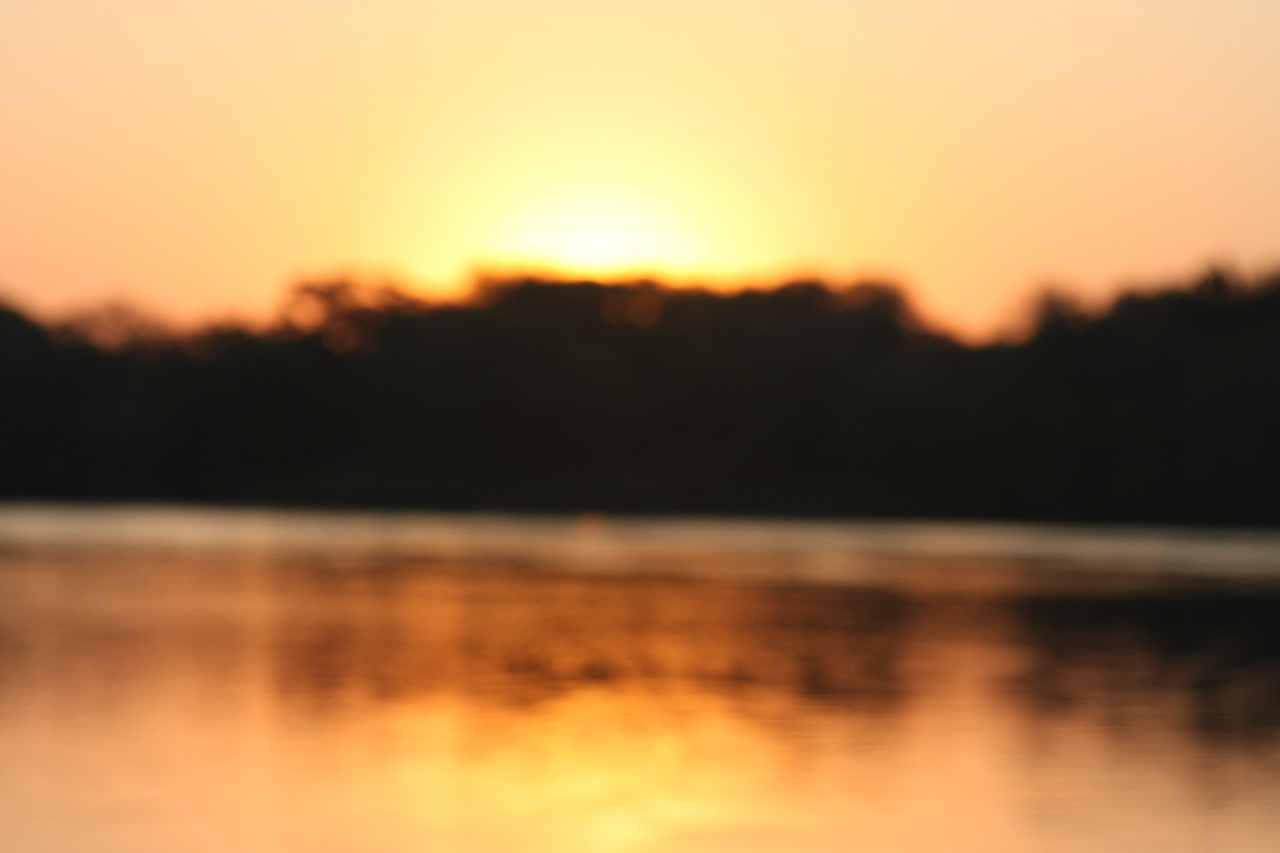 [28671] 2016_07_02_11_40_54_Africa_Canon_EOS_40D_IMG__00208.jpg