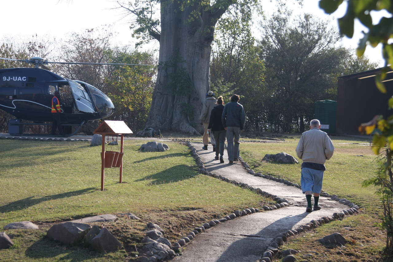 [29117] 2016_07_03_02_28_44_Africa_Canon_EOS_40D_IMG__12490.jpg