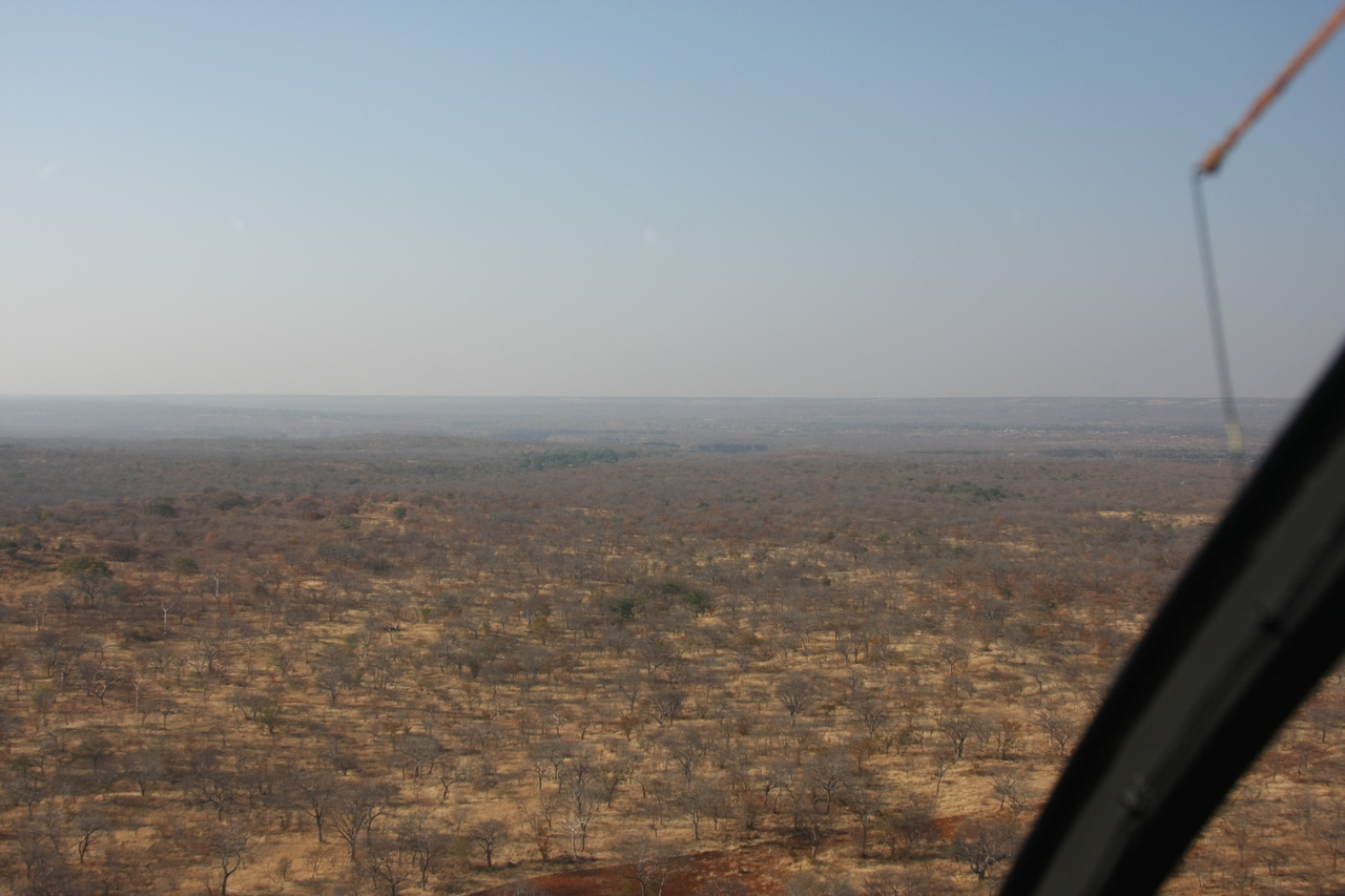 [29264] 2016_07_03_02_57_29_Africa_Canon_EOS_40D_IMG__05532.jpg