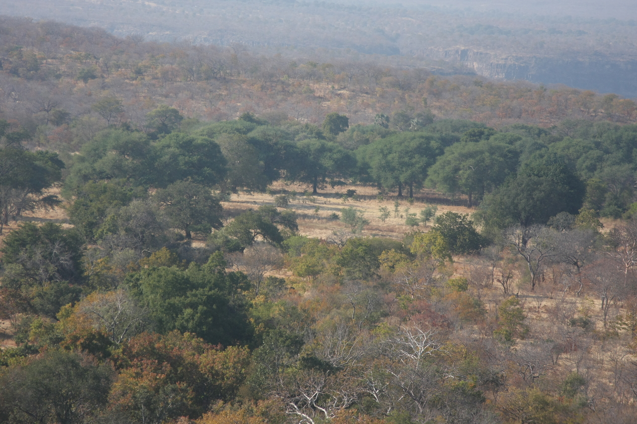 [29268] 2016_07_03_02_58_04_Africa_Canon_EOS_40D_IMG__05543.jpg