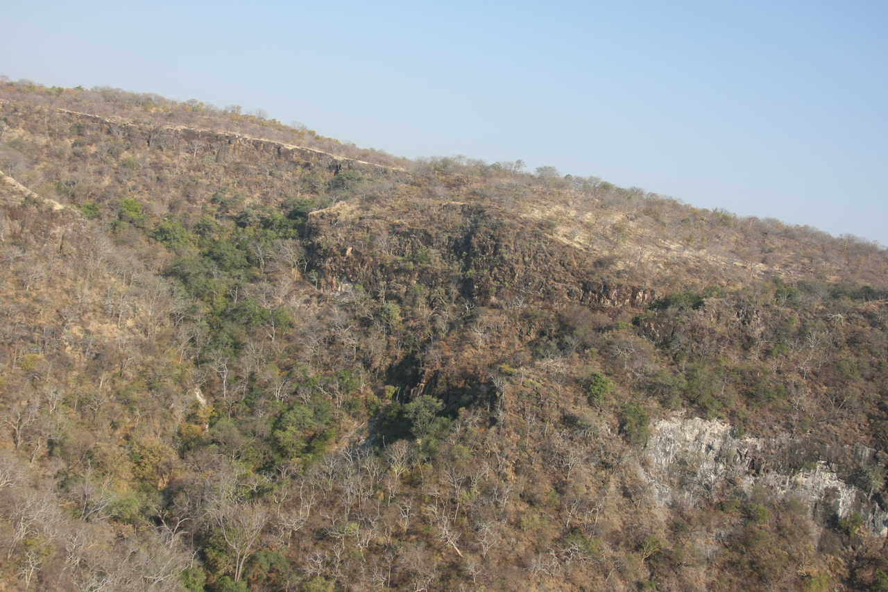 [29462] 2016_07_03_03_00_38_Africa_Canon_EOS_40D_IMG__04876.jpg