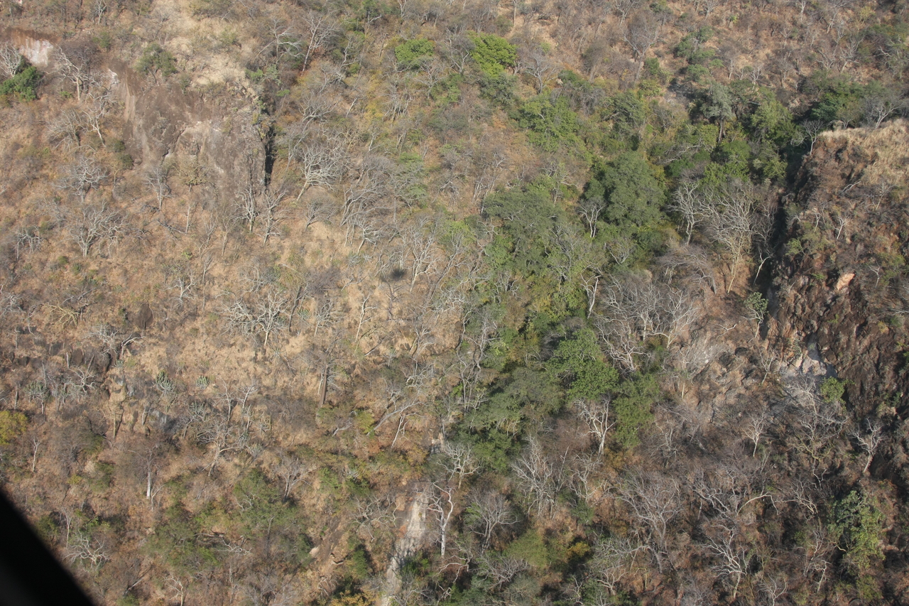 [29475] 2016_07_03_03_00_44_Africa_Canon_EOS_40D_IMG__12328.jpg