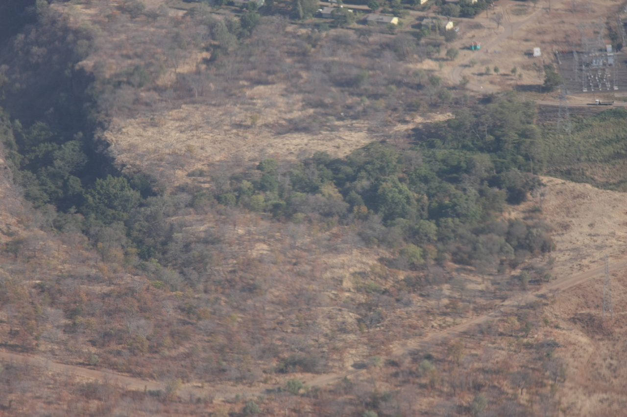 [29559] 2016_07_03_03_04_47_Africa_Canon_EOS_40D_IMG__12359.jpg