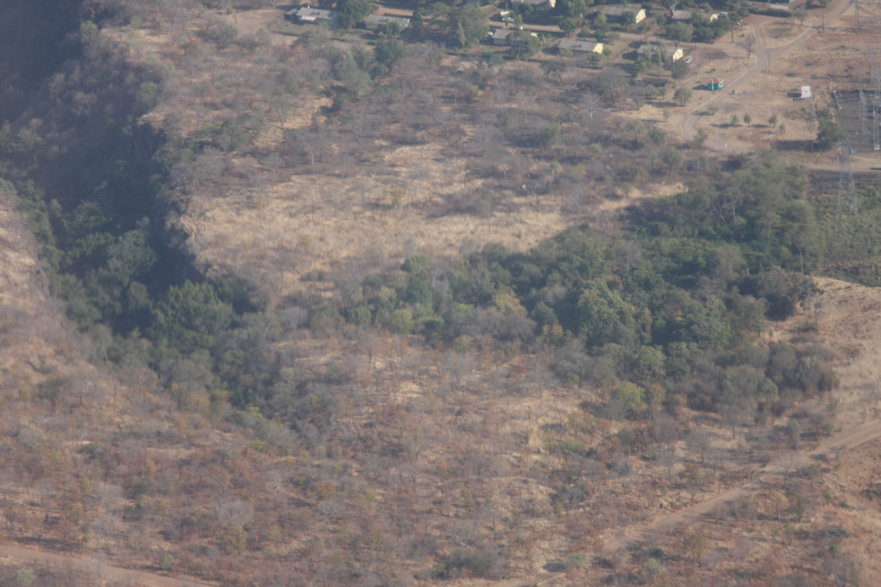 [29561] 2016_07_03_03_04_48_Africa_Canon_EOS_40D_IMG__00084.jpg