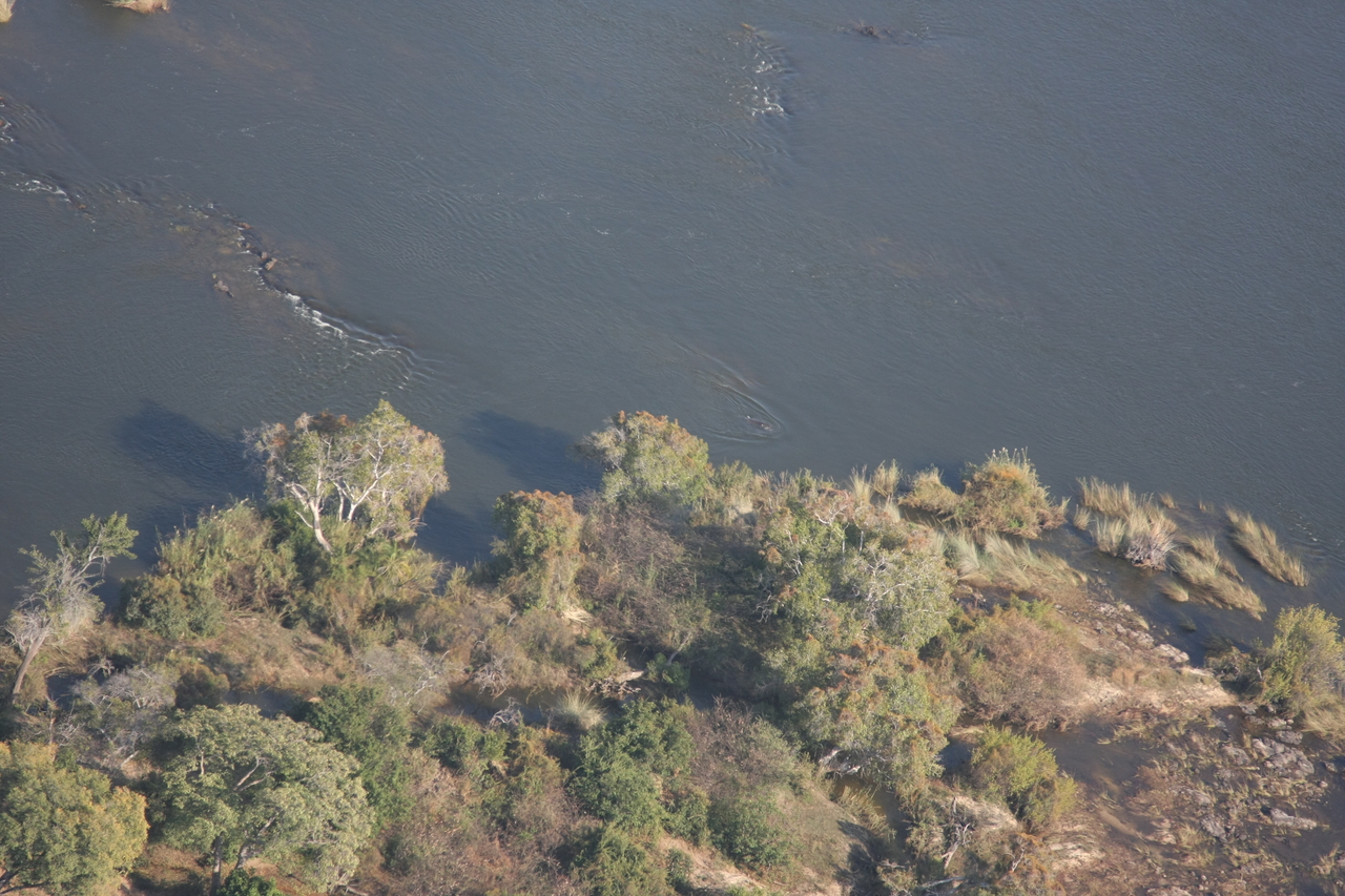 [30150] 2016_07_03_03_10_43_Africa_Canon_EOS_40D_IMG__05131.jpg