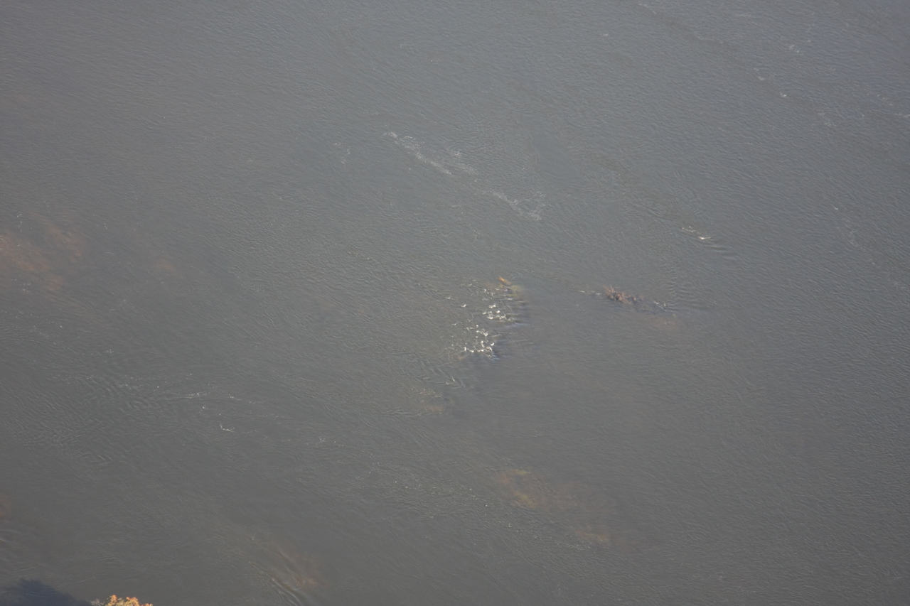 [30160] 2016_07_03_03_10_46_Africa_Canon_EOS_40D_IMG__05134.jpg