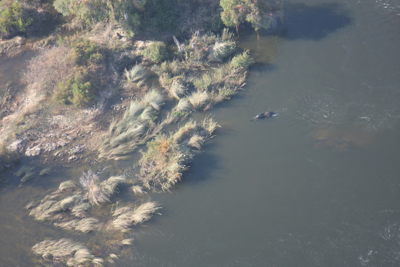 [30178] 2016_07_03_03_10_55_Africa_Canon_EOS_40D_IMG__05140.jpg