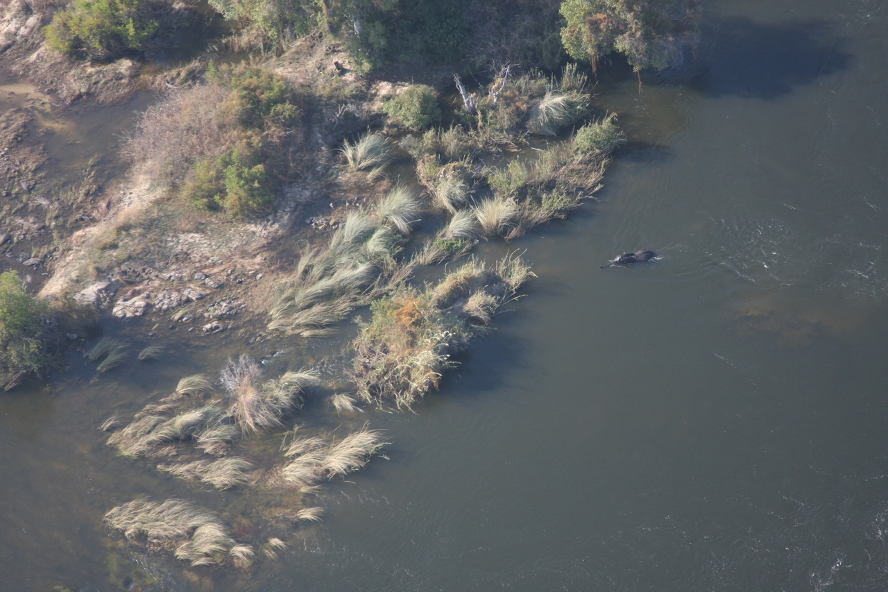 [30179] 2016_07_03_03_10_55_Africa_Canon_EOS_40D_IMG__05141.jpg