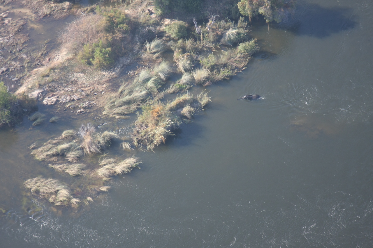 [30184] 2016_07_03_03_10_56_Africa_Canon_EOS_40D_IMG__00314.jpg