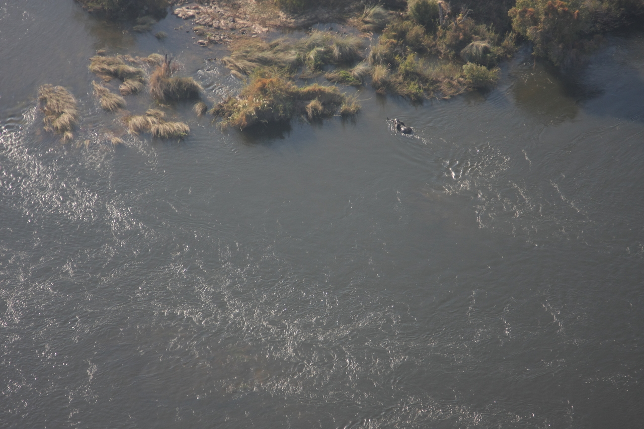 [30187] 2016_07_03_03_11_00_Africa_Canon_EOS_40D_IMG__00315.jpg