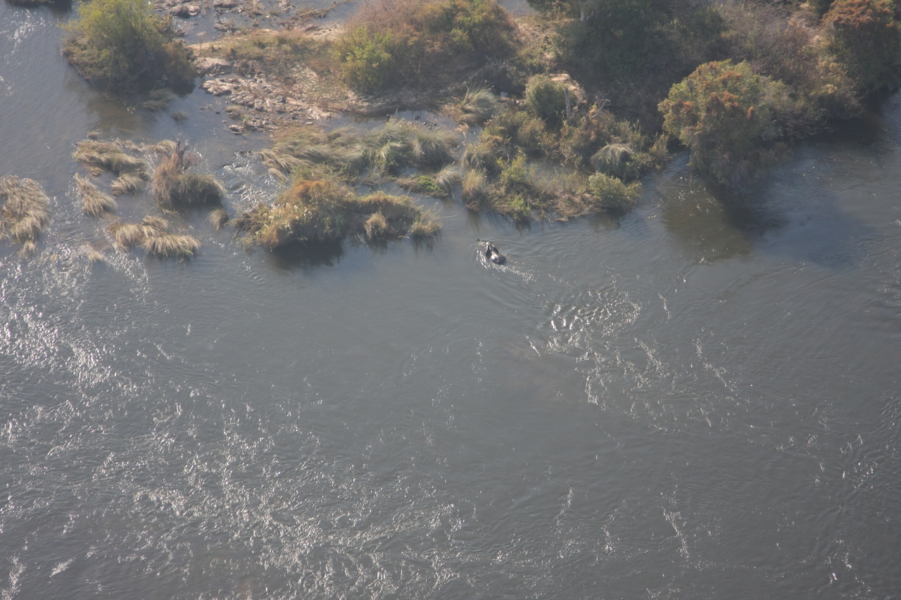 [30192] 2016_07_03_03_11_00_Africa_Canon_EOS_40D_IMG__05147.jpg