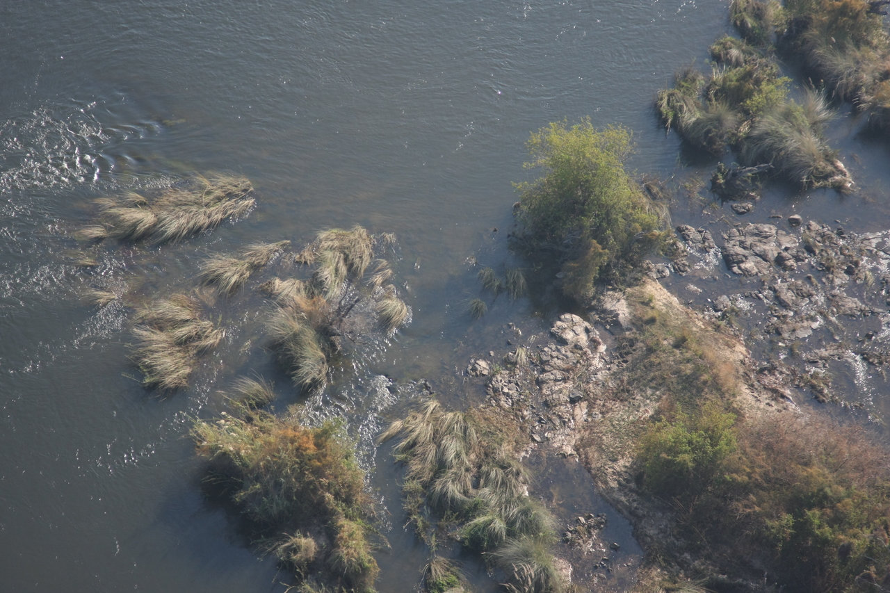 [30197] 2016_07_03_03_11_09_Africa_Canon_EOS_40D_IMG__00319.jpg