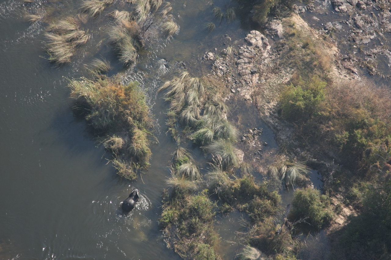 [30211] 2016_07_03_03_11_10_Africa_Canon_EOS_40D_IMG__12598.jpg