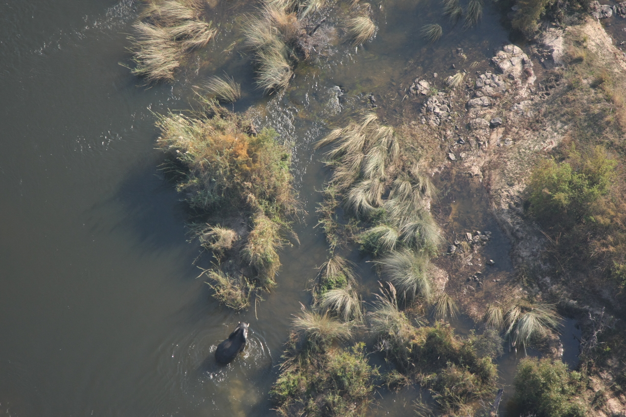 [30214] 2016_07_03_03_11_11_Africa_Canon_EOS_40D_IMG__00325.jpg