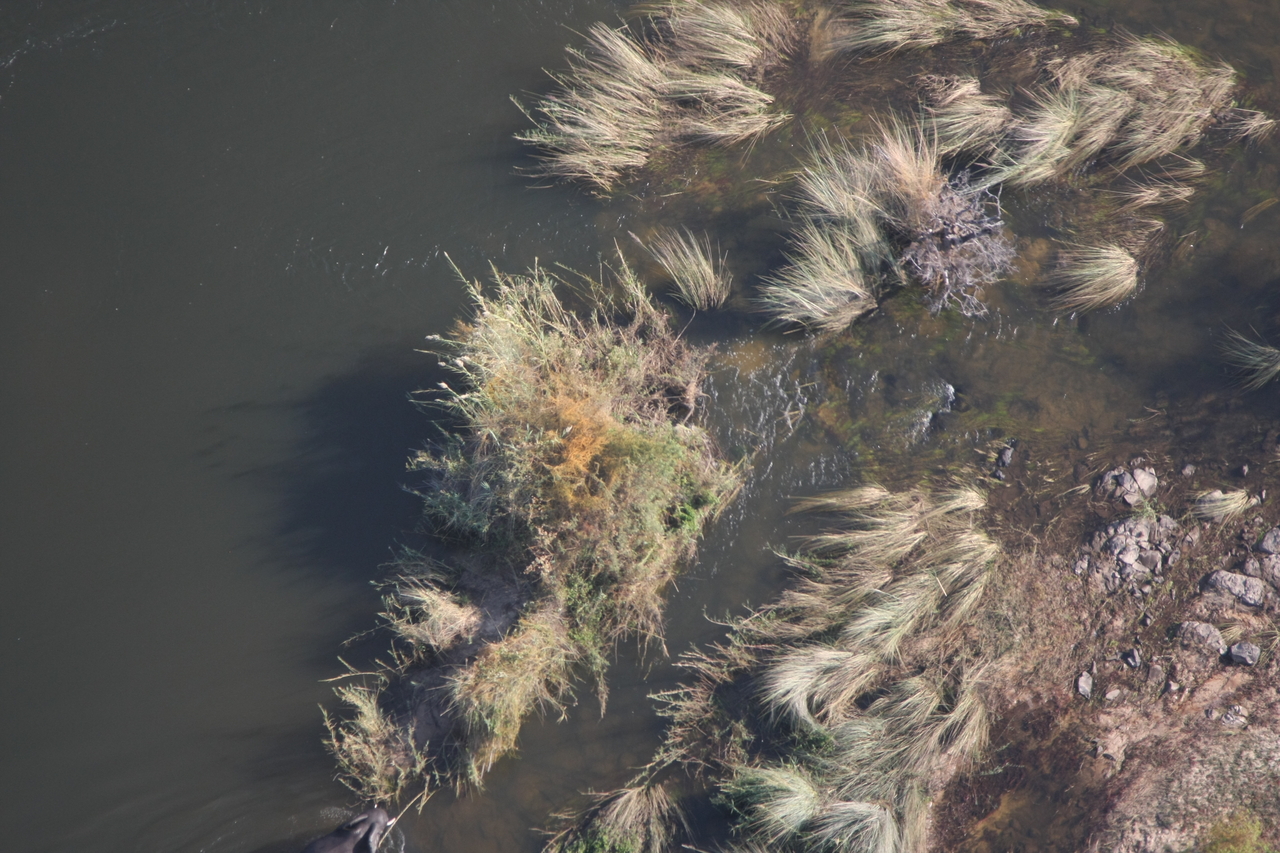 [30219] 2016_07_03_03_11_12_Africa_Canon_EOS_40D_IMG__00328.jpg