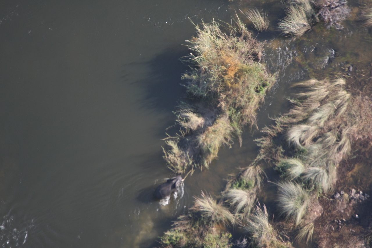 [30224] 2016_07_03_03_11_12_Africa_Canon_EOS_40D_IMG__12604.jpg