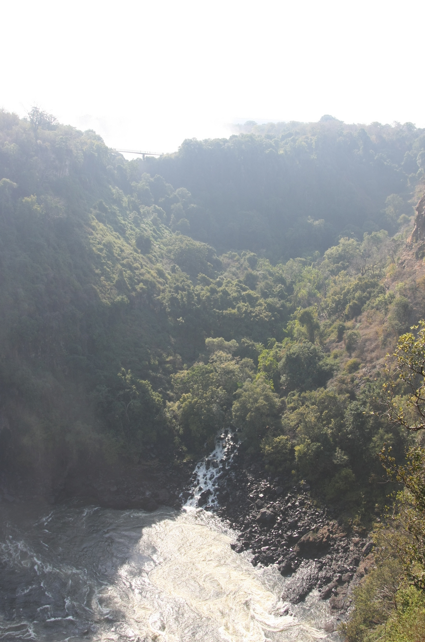 [30455] 2016_07_03_03_53_48_Africa_Canon_EOS_40D_IMG__05237.jpg