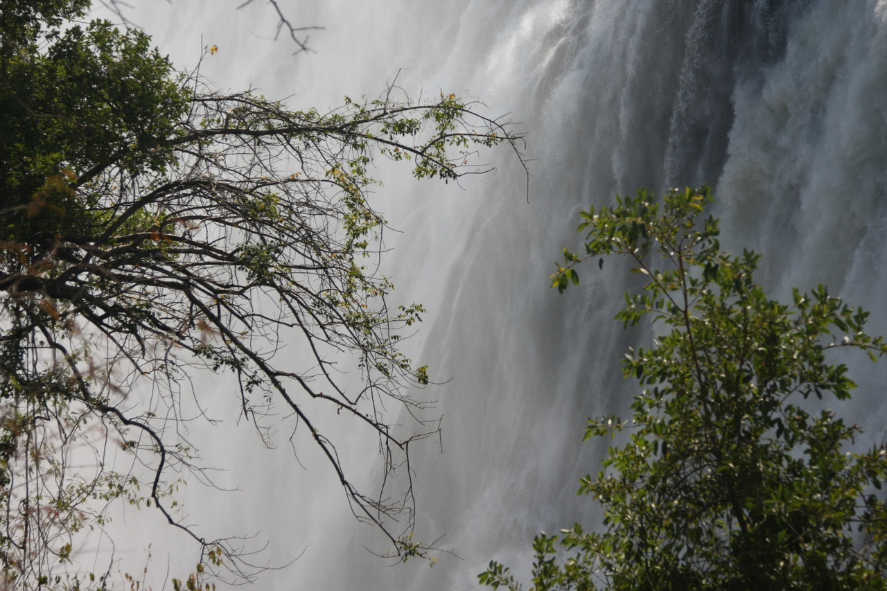 [31269] 2016_07_03_08_34_32_Africa_Canon_EOS_40D_IMG__00692.jpg