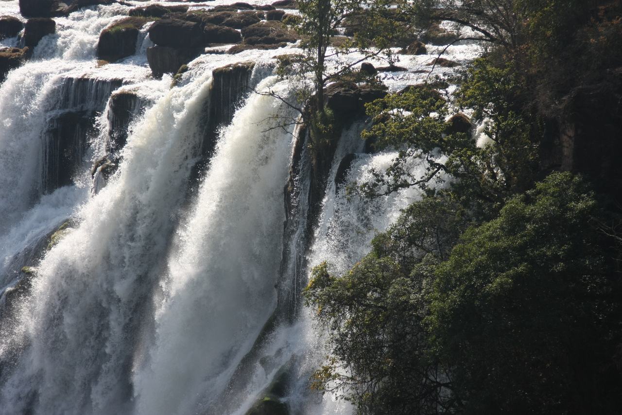 [31281] 2016_07_03_08_34_44_Africa_Canon_EOS_40D_IMG__05525.jpg