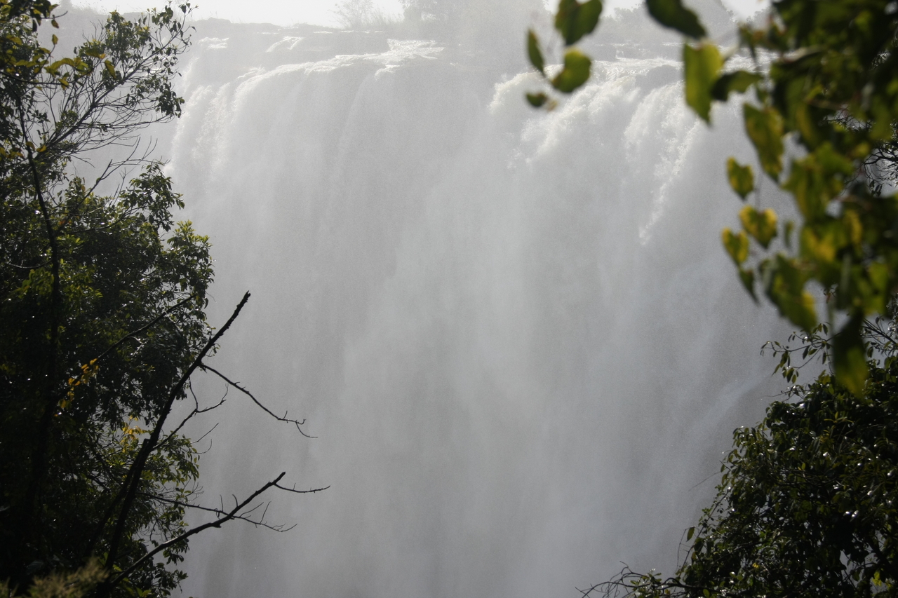 [31319] 2016_07_03_08_37_49_Africa_Canon_EOS_40D_IMG__05528.jpg