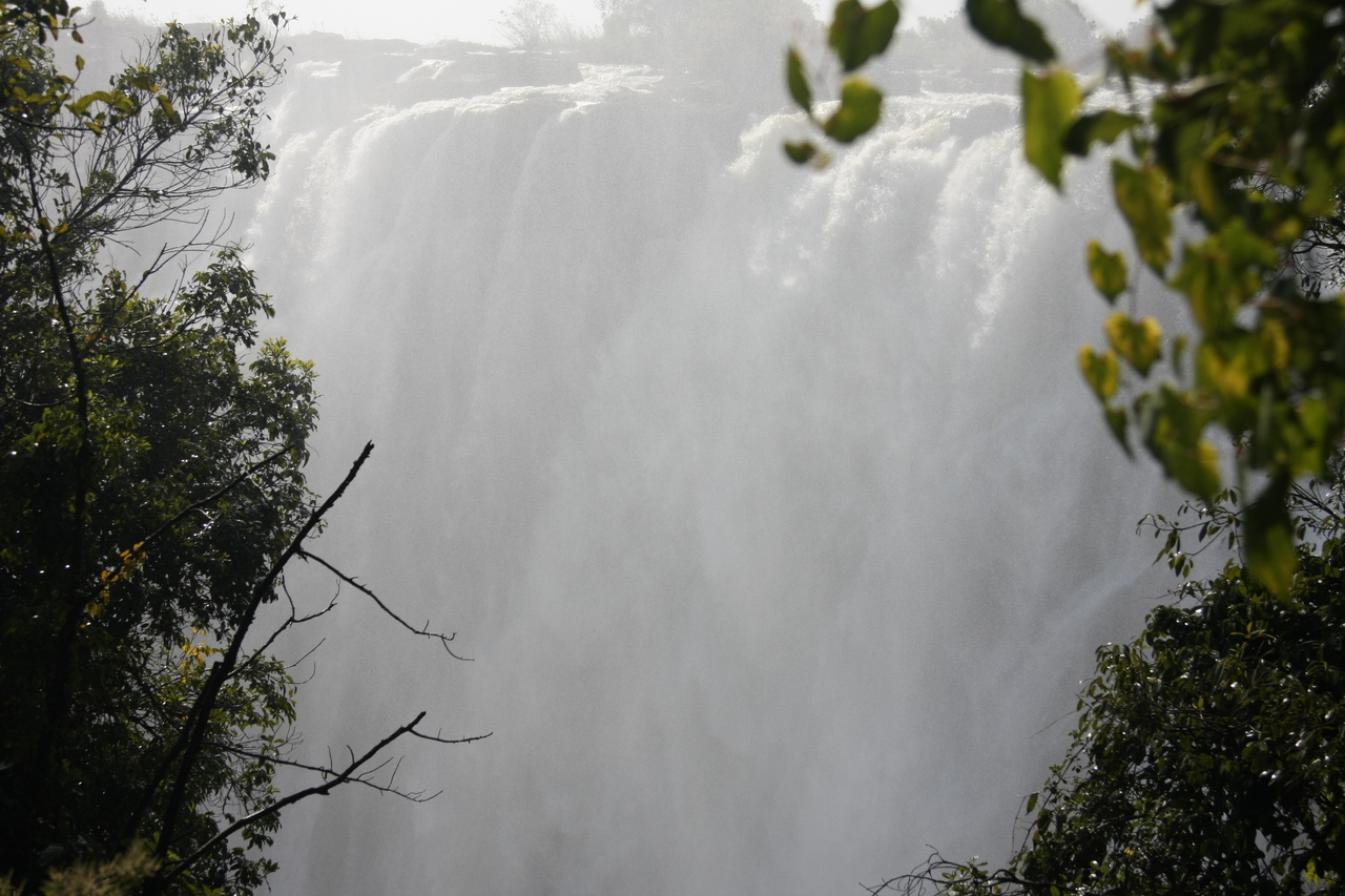 [31320] 2016_07_03_08_37_49_Africa_Canon_EOS_40D_IMG__05529.jpg