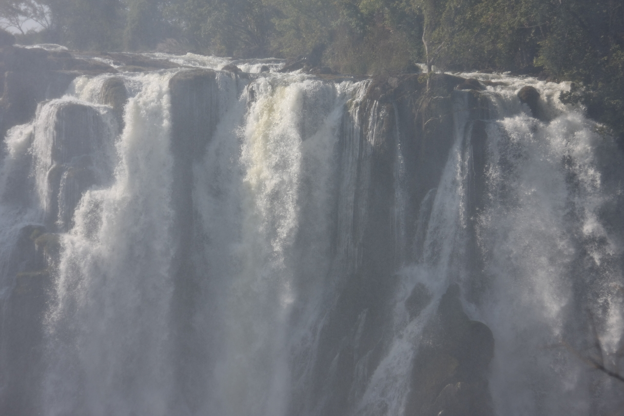 [31445] 2016_07_03_08_44_19_Africa_Canon_EOS_40D_IMG__00718.jpg