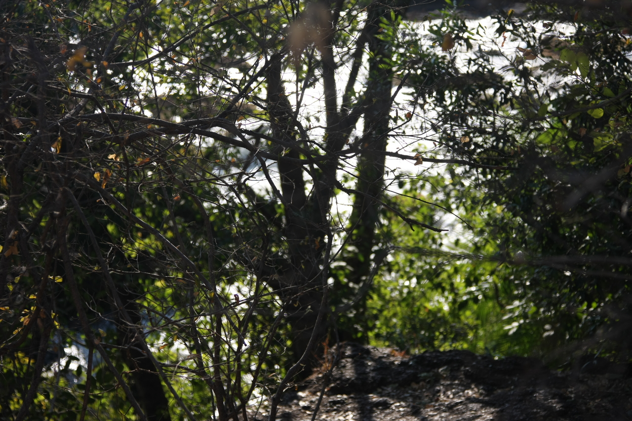 [31842] 2016_07_03_09_46_32_Africa_Canon_EOS_40D_IMG__00771.jpg