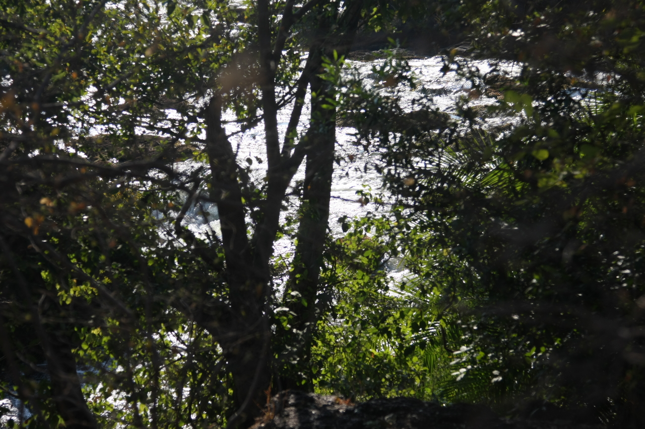 [31847] 2016_07_03_09_46_34_Africa_Canon_EOS_40D_IMG__13049.jpg