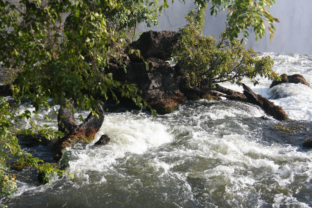 [31882] 2016_07_03_09_48_28_Africa_Canon_EOS_40D_IMG__05611.jpg