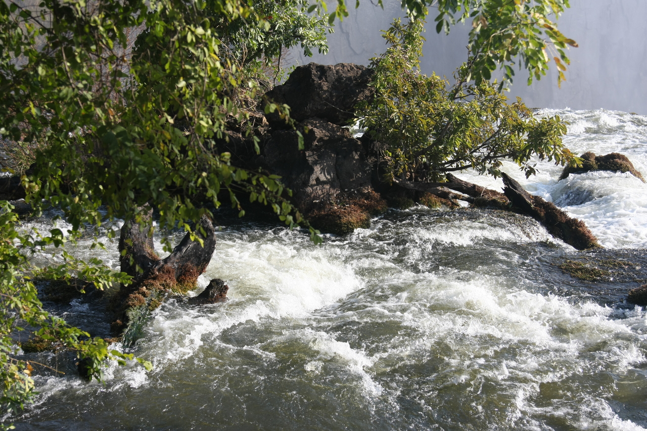 [31883] 2016_07_03_09_48_28_Africa_Canon_EOS_40D_IMG__05612.jpg