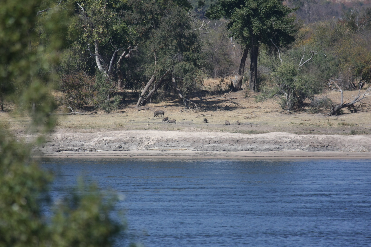 [32846] 2016_07_04_05_57_03_Africa_Canon_EOS_40D_IMG__13476.jpg