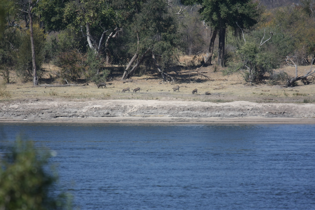 [32854] 2016_07_04_05_57_34_Africa_Canon_EOS_40D_IMG__13085.jpg