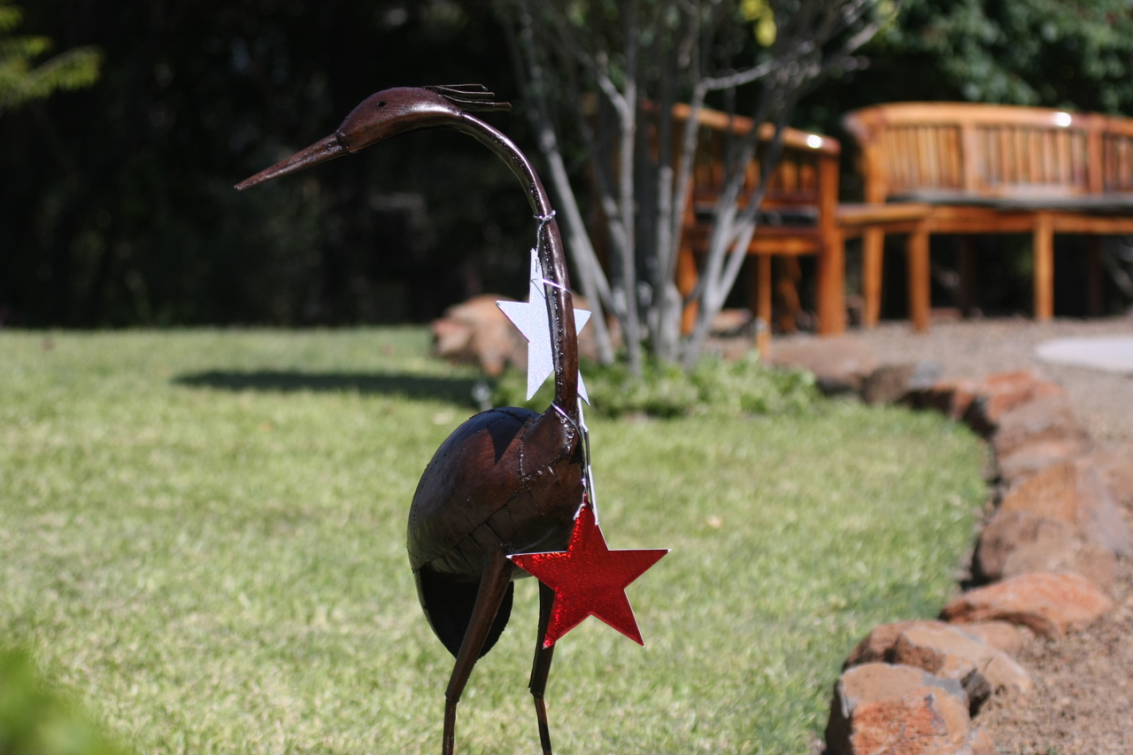 [32905] 2016_07_04_06_16_42_Africa_Canon_EOS_40D_IMG__13262.jpg