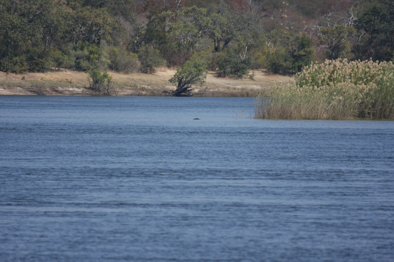 [32908] 2016_07_04_06_27_49_Africa_Canon_EOS_40D_IMG__05826.jpg