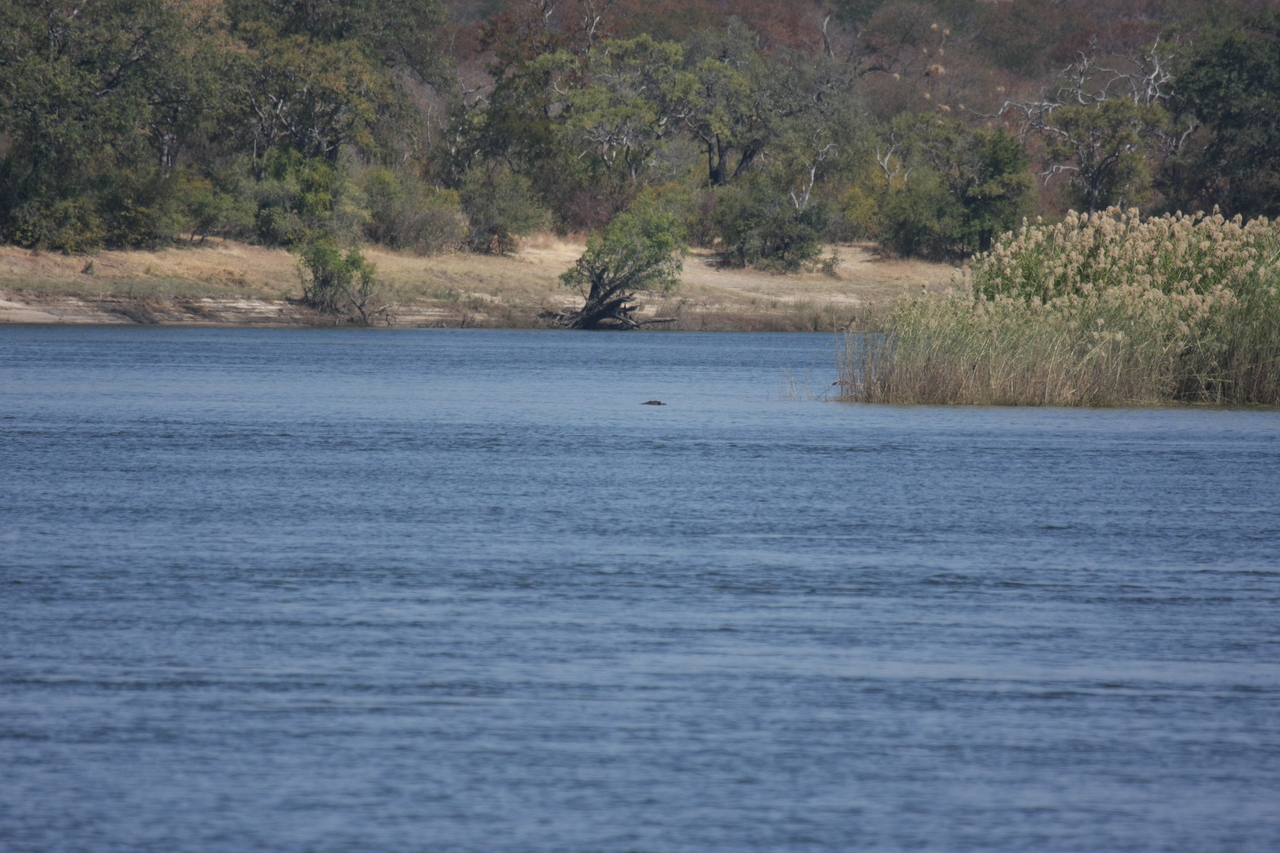 [32914] 2016_07_04_06_27_58_Africa_Canon_EOS_40D_IMG__05848.jpg