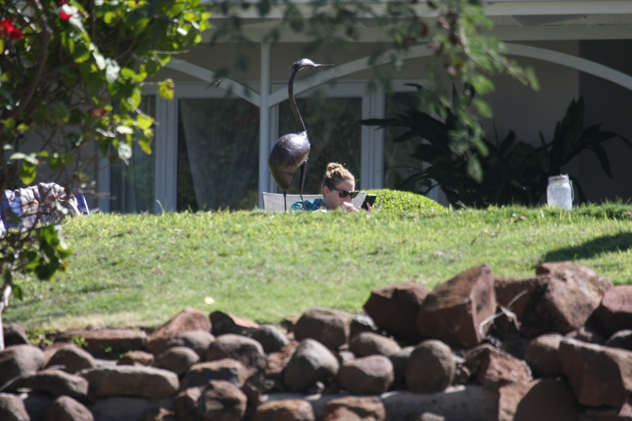 [32940] 2016_07_04_06_30_04_Africa_Canon_EOS_40D_IMG__13384.jpg