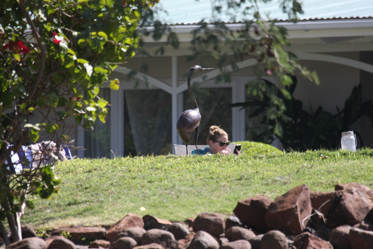 [32942] 2016_07_04_06_30_28_Africa_Canon_EOS_40D_IMG__00324.jpg