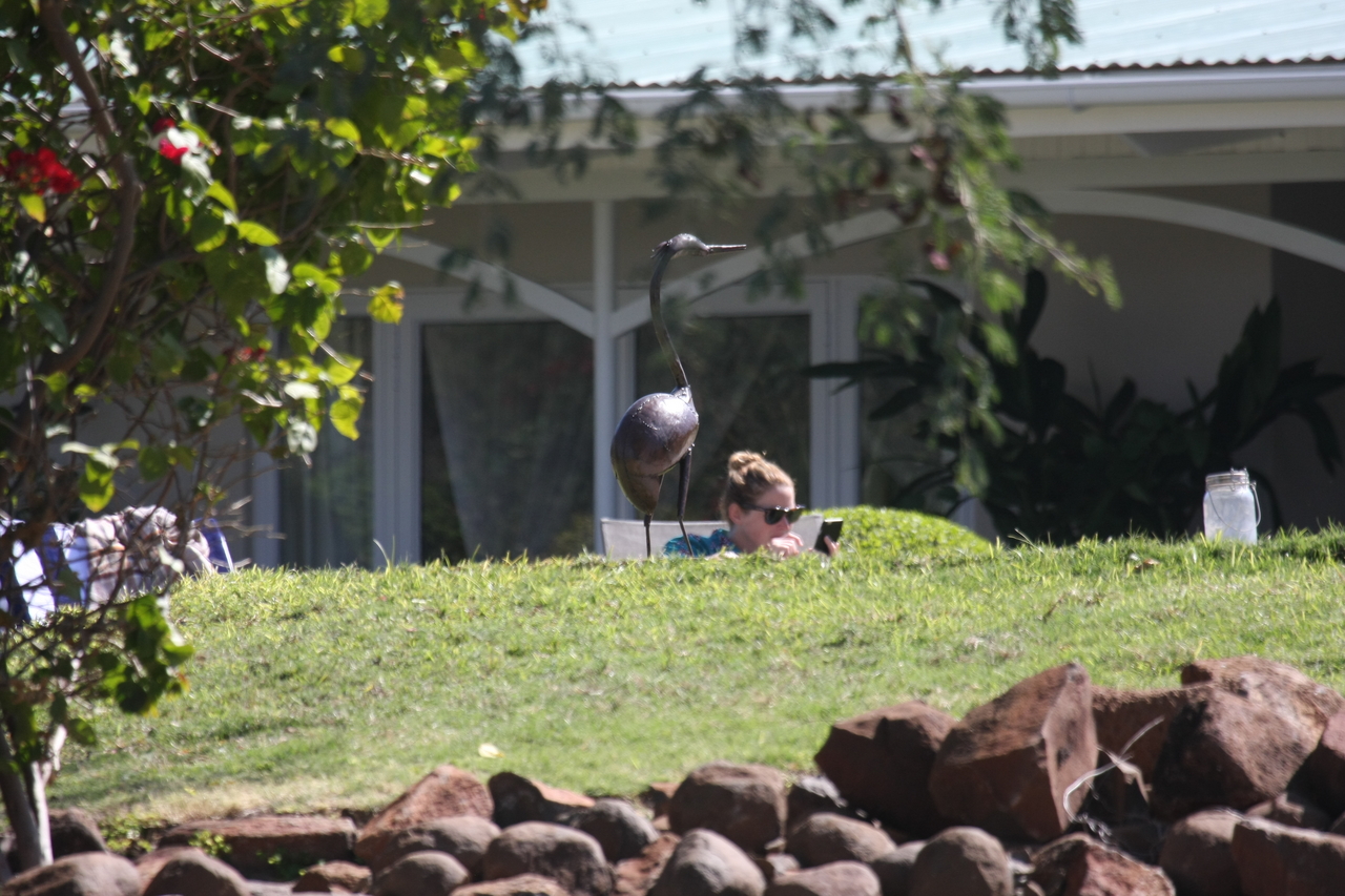 [32947] 2016_07_04_06_30_28_Africa_Canon_EOS_40D_IMG__13418.jpg