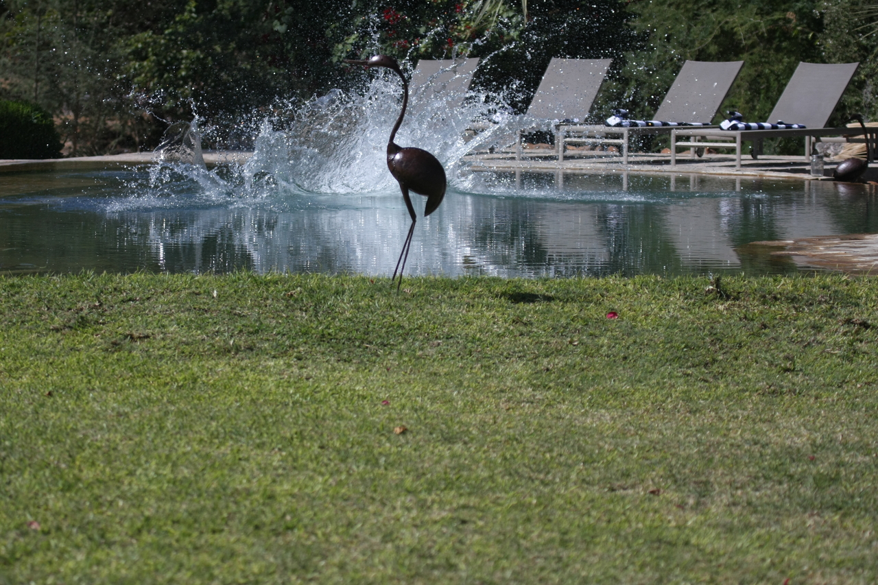 [32995] 2016_07_04_07_06_53_Africa_Canon_EOS_40D_IMG__13461.jpg