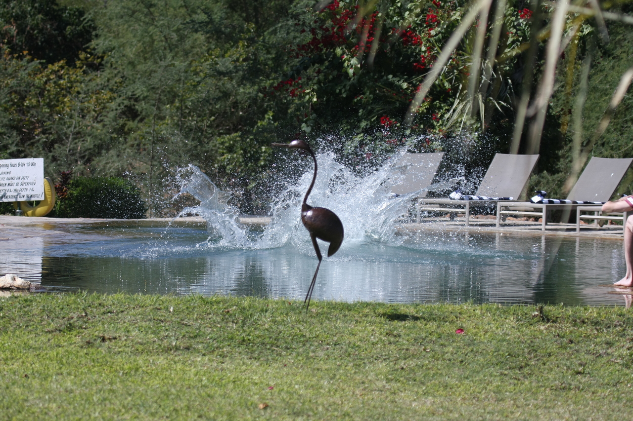 [33042] 2016_07_04_07_07_55_Africa_Canon_EOS_40D_IMG__06032.jpg