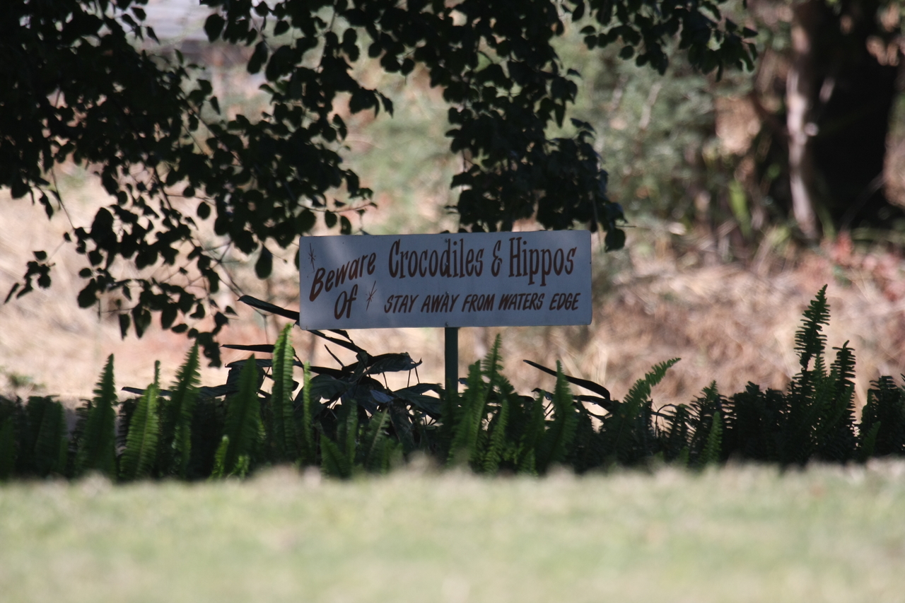 [33125] 2016_07_04_07_58_26_Africa_Canon_EOS_40D_IMG__00412.jpg