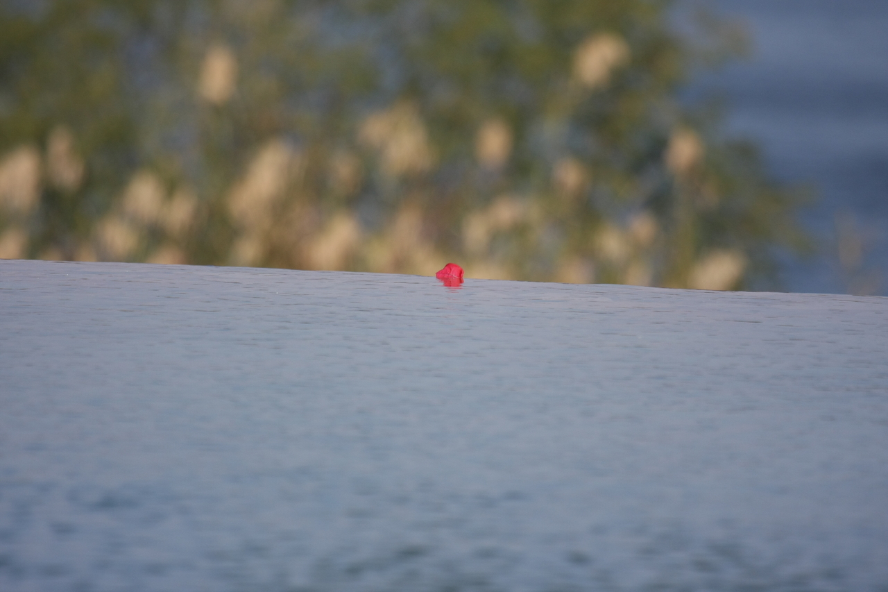 [33133] 2016_07_04_08_25_59_Africa_Canon_EOS_40D_IMG__06048.jpg