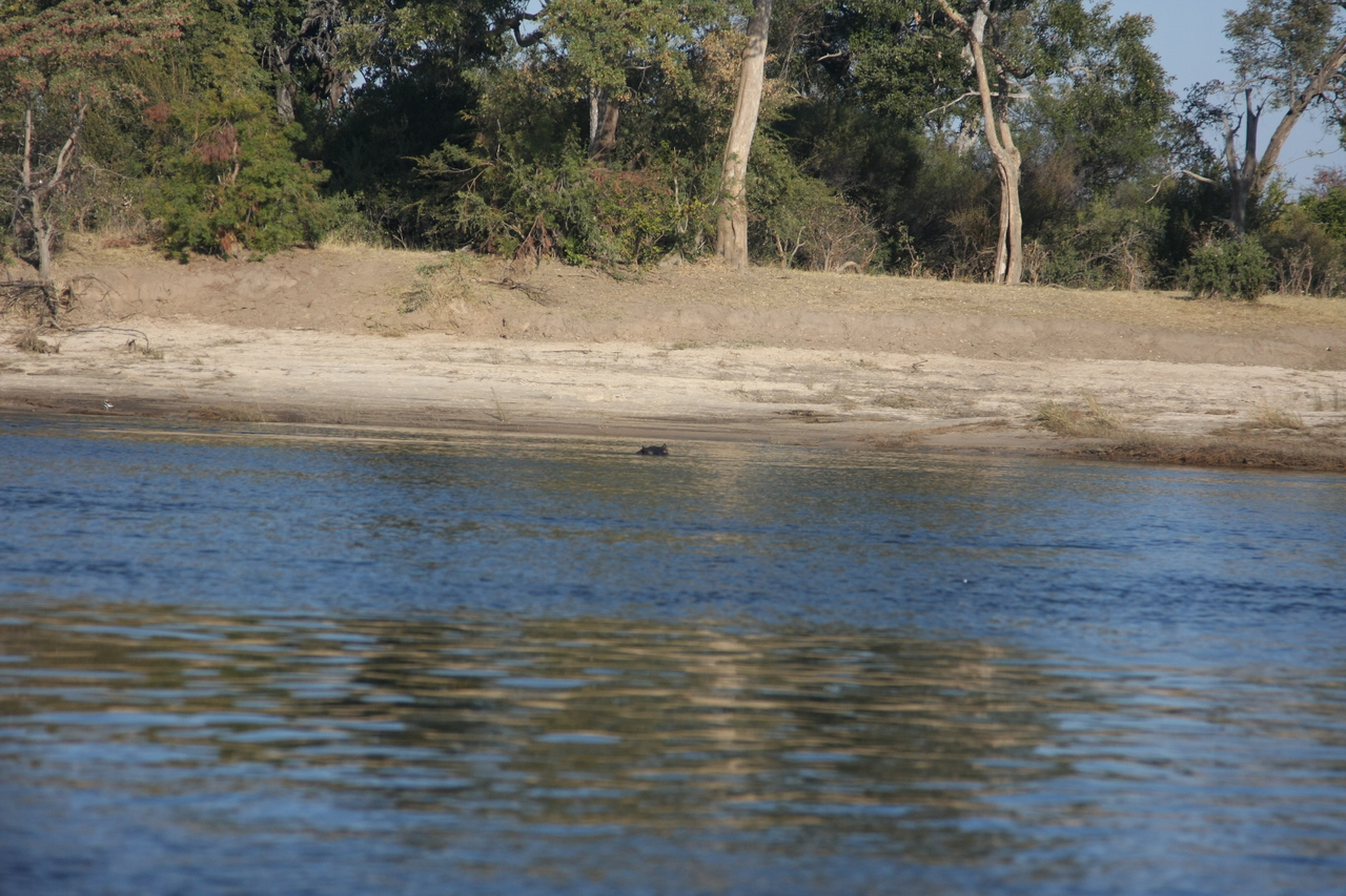 [33276] 2016_07_04_10_16_42_Africa_Canon_EOS_40D_IMG__00023.jpg